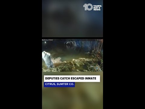Florida deputies capture escaped inmate who went into pond