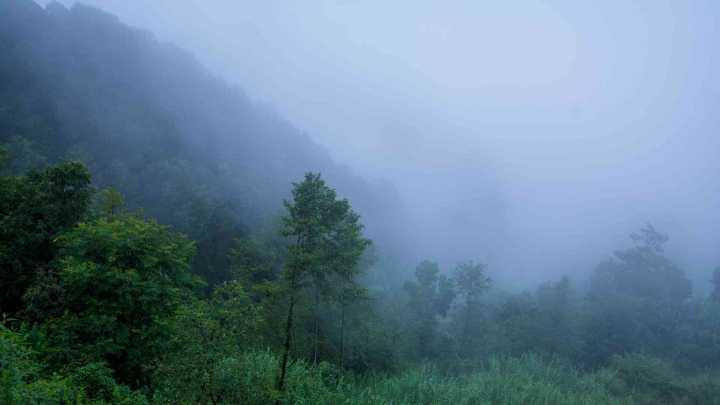 San Luis Potosí Registra Temperaturas Bajo Cero por el Frente Frío No. 13 del 2025