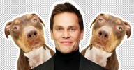 How Did Tom Brady Clone His Family Dog?