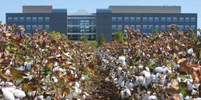 Governor Ivey awards HudsonAlpha over $2 million for agricultural and forestry