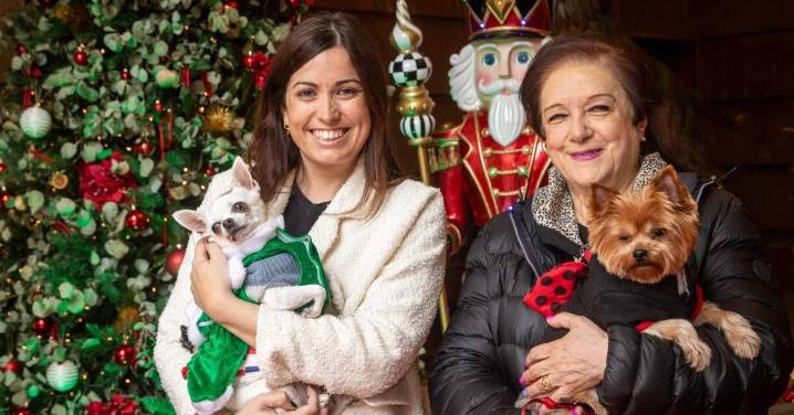 Vuelve el desfile más tierno de Navidad a Zaragoza: el Fashion Pet Christmas 2025