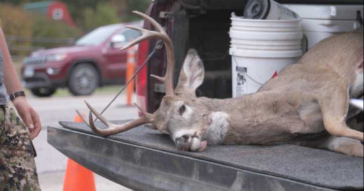 Creature Features: Deer & Diseases