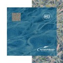 Iconic carpet for sale: SGF Airport partners with Arts Council for flooring fundraiser