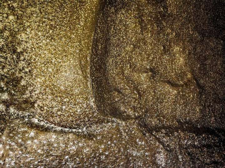 Arachnid super-web reveals the surprising life of cohabiting spiders