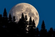 Beaver Moon to dazzle today as 2025’s brightest Supermoon