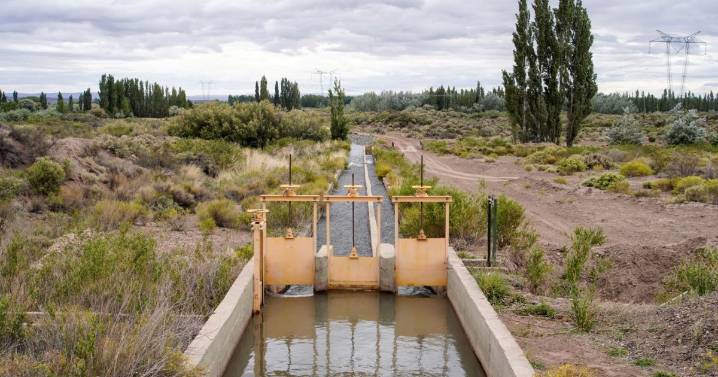 A un valle de Neuquén lo rodea el agua, pero el riego no le alcanza: «Es un techo para el desarrollo»