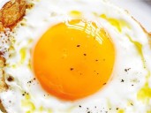 Truth about protein in egg yolks revealed