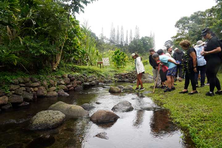 This Hawaiian Fishpond Is Nearly Restored. All That’s Missing Is Fresh Water