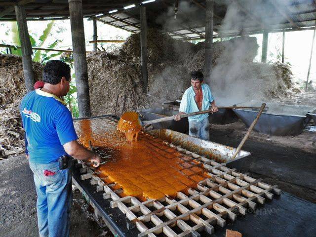 La panela de Isnos, Huila, conquista los mercados mundiales