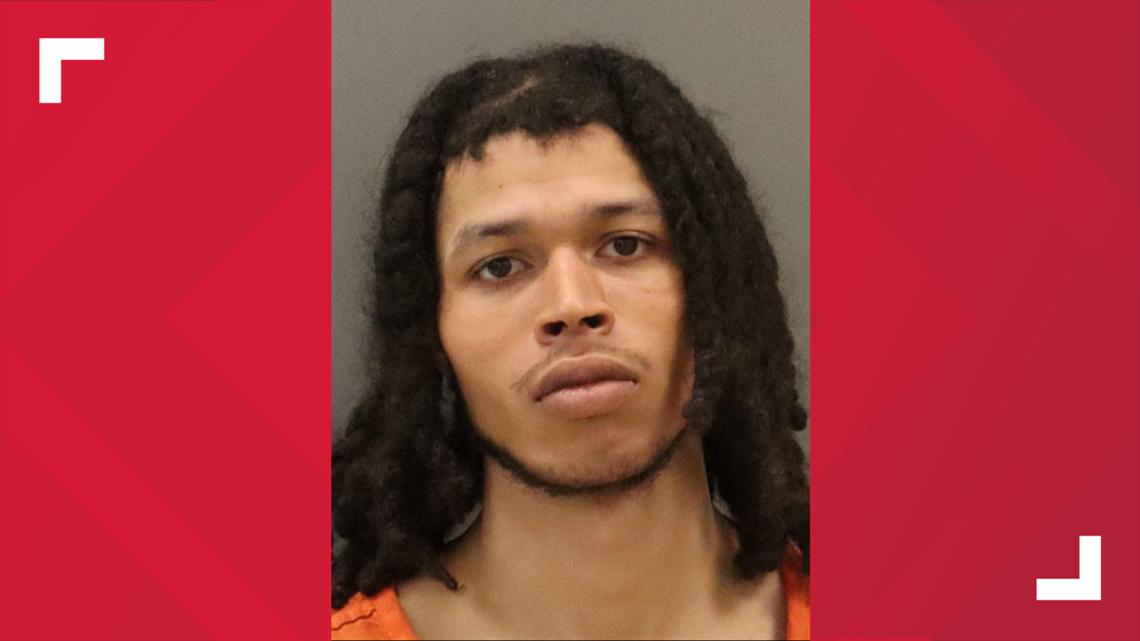 Suspect accused of stabbing Ottawa County homeowner and his dog facing separate assault charge in Kent County