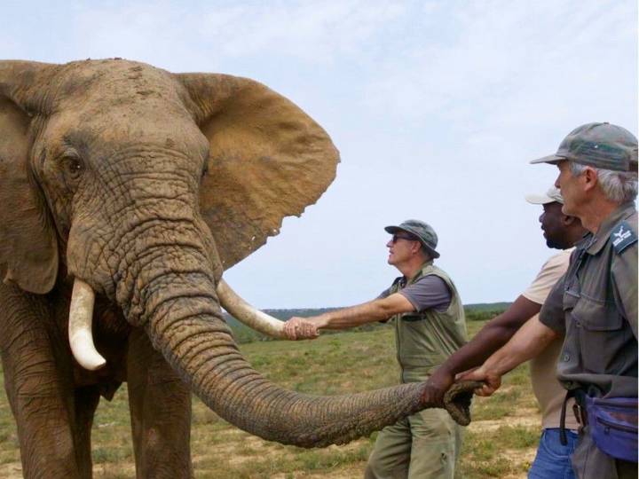 Watch these 5 B.C. films at this year’s Whistler Film Festival