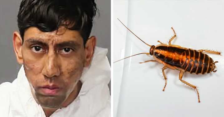 “Kafka, Is That You?”: Man, 25, Accused Of Taking Two Lives Claims A Cockroach Ordered Him To Do So