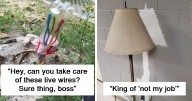 57 Laugh-Out-Loud Fails From People Who Followed Instructions A Bit Too Hard