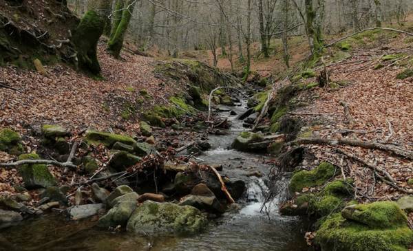 Riego en el SOB: ¿cuáles son los niveles de los acuíferos?