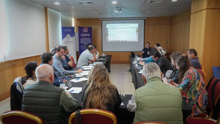 Fallo en EE.UU. enciende alarmas en Atacama y frena protocolo clave para la uva de mesa