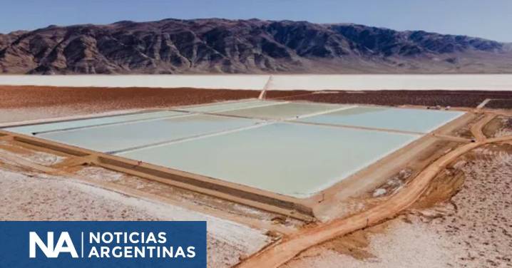Avanza en Salta el proyecto de litio Pozuelos