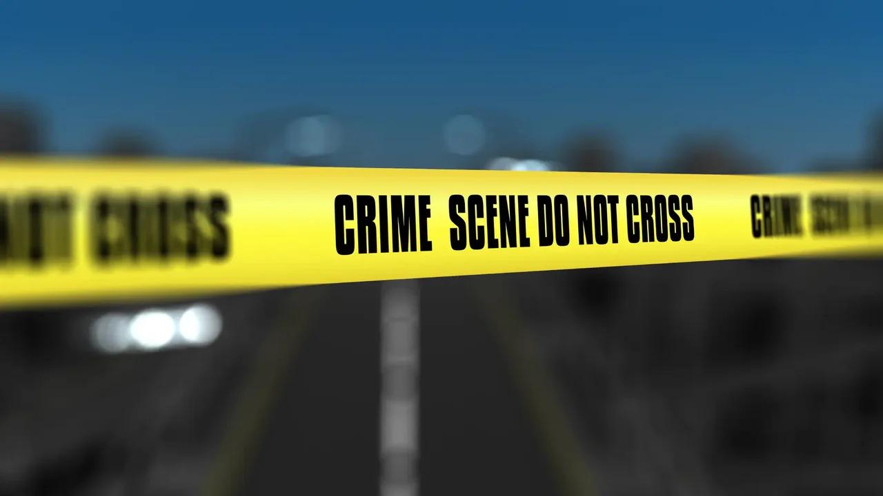 Tragedia en Francia: sujeto arrolló a varias personas y dejó al menos cinco heridos