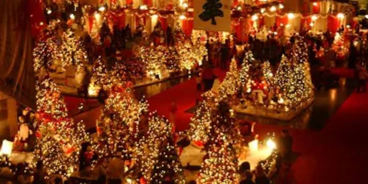 WVLT to showcase Fantasy of Trees in 30