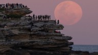 Beaver Moon 2025: Best times in Australia to see November’s full moon