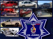 Recuperan 11 vehículos robados en operativo especial