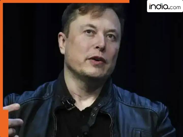 'I will never commit suicide': Elon Musk's shocker