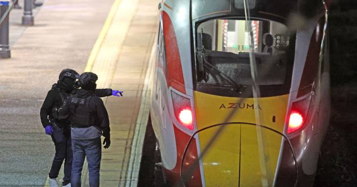 Attacker chased man through Huntingdon attack train