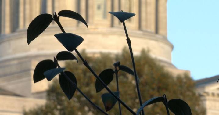 Nearly all Missouri health insurers set to raise rates while shutdown deal abandons ACA credits