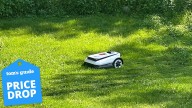 I love my robot lawn mower, and early Black Friday sales will make buying yours more affordable