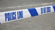 Nine-month-old baby dies after 'dog attack' in Wales