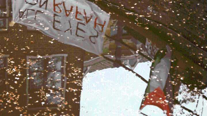 Directors Talk Importance of Short Docs Ahead of IDFA Opening Night