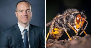 Dos estadounidenses mueren en Laos por ataque de avispas gigantes