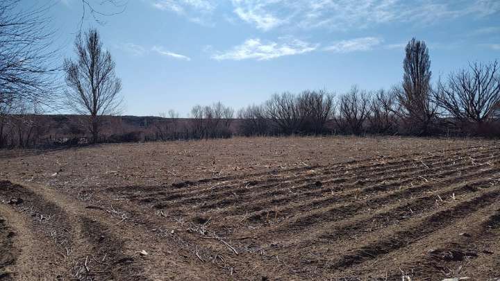 Chacareros de Picún Leufú esperan reunirse con funcionarios provinciales para solucionar el problema de riego