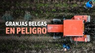 Vídeo | Las granjas de Bélgica están en peligro