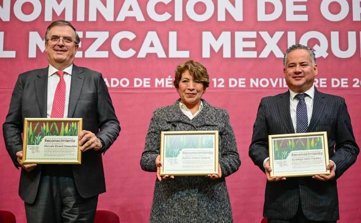 Mezcal mexiquense obtiene Denominación de Origen; será protegido y dado a conocer en todo el mundo