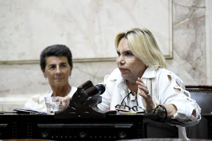 Advierten sobre una jornada antivacunas en el Congreso