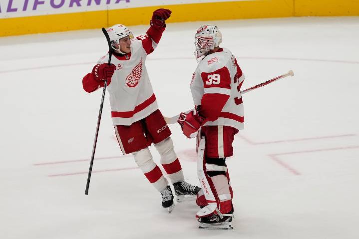 The Red Wings continue to roll, buy your favorite player’s jersey today