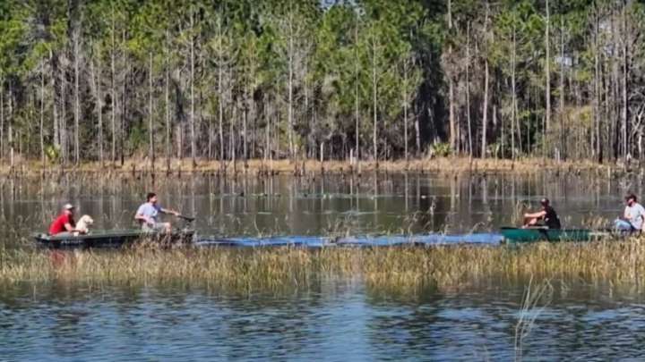 Neighbors Join Forces To Rescue A Struggling Figure In Florida Lake