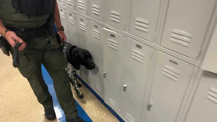 Wilson County school data on threats, arrests, citations