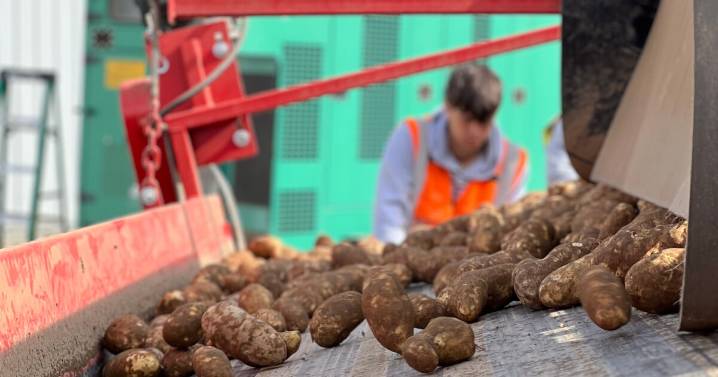 Multinational company McCain Foods to acquire Penobscot McCrum potato processor