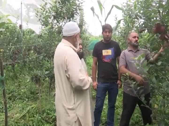 J-K: Rajouri farmers make major shift from traditional cereal crops to ultra-high-density fruit farming under horticulture revolution