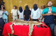 Leopard Skin Seized in Bhubaneswar, Three Held