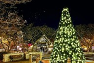 Naper Lights, Letters to Santa, Holly Jolly planned