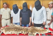 Major tiger skin smuggling racket busted in Odisha Capital, three arrested