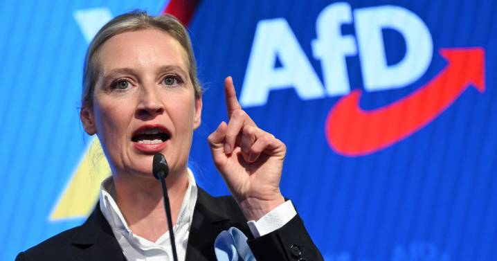 Weidel denuncia que un diputado de AfD fue golpeado por ultras de izquierda en Giessen