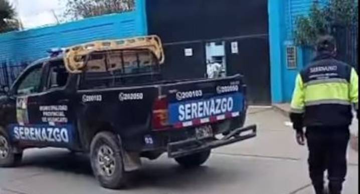 Presentan proyecto de ley que busca fortalecer serenazgo en zonas con alta inseguridad