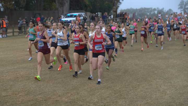 FHSAA cross-country state championship meet, photos from Tallahassee