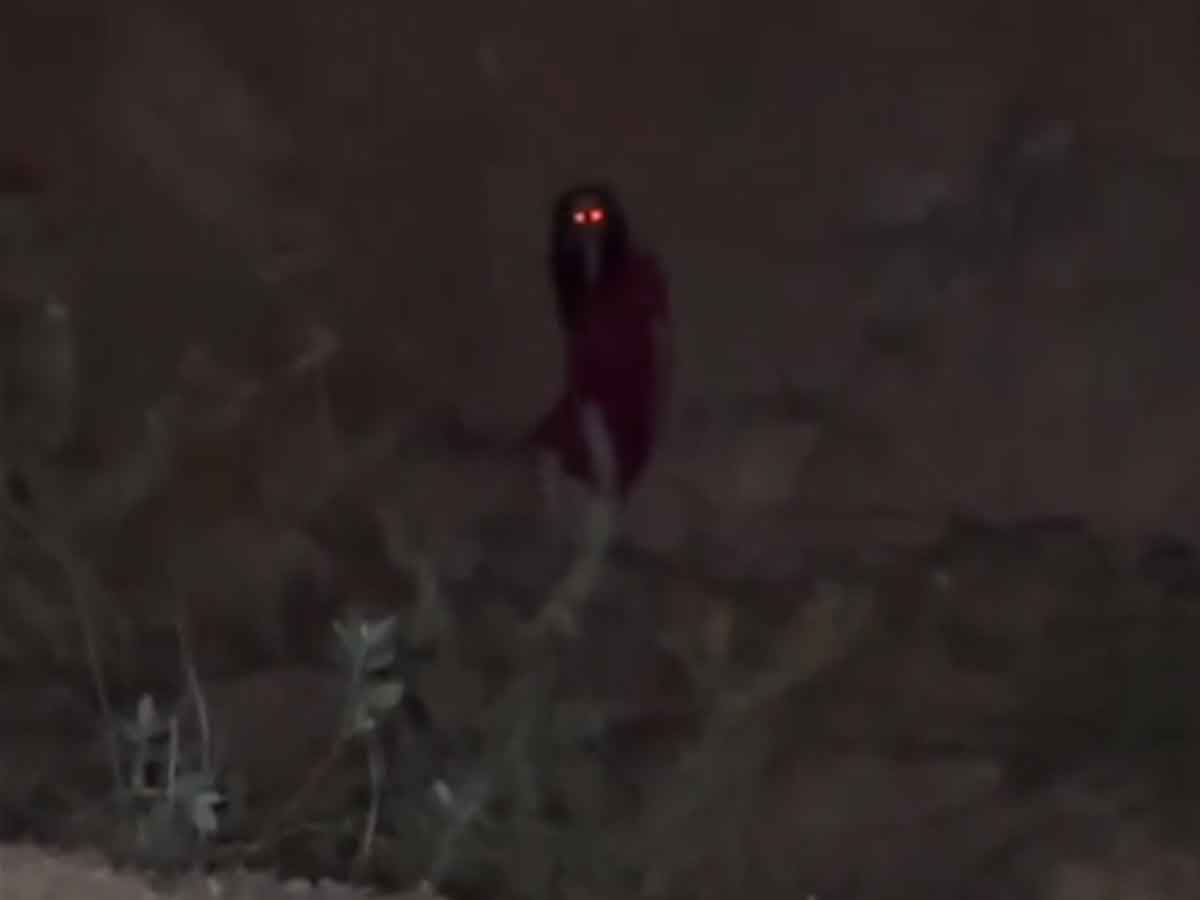 ¿Bruja en Tlajomulco? Inquietante video desata miedo y revive leyendas mexicanas