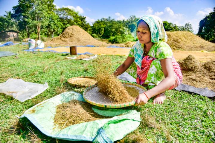 India Sees Highest Increase In Foodgrain Production In Last 10 Years