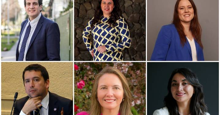 Distrito 11: derecha mantienen cinco cupos con Schalper, Mora, Hube, Araya y Del Real. Schönhaut reemplazará a Tomás Hirsch en el oficialismo