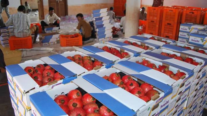 Agri exports up 12 per cent during H1 at $13.93 billion